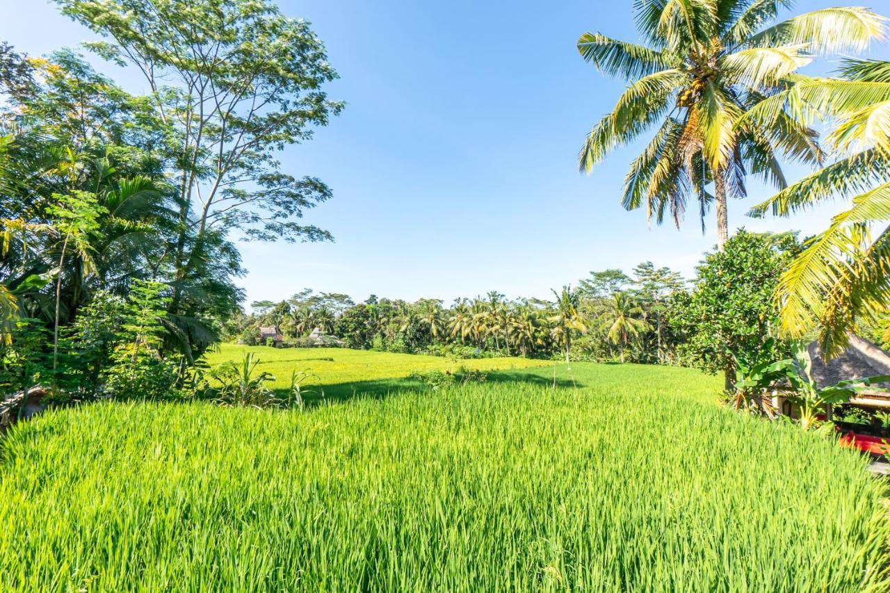 Rouge - Private Villa Passion Ubud Buitenkant foto